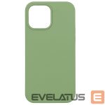 Aizmugurējais vāciņš Evelatus Apple iPhone 12 Pro Max Premium Soft Touch Silicone Case Mint