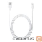 Cable Apple  MD819 - iPhone Cable 7/8/X (2m)