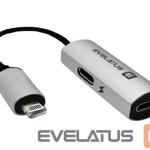 Parveidotājs Evelatus  Lightning to Lightning-x2 V02 bulk package