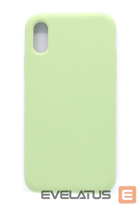 Aizmugurējais vāciņš Evelatus Apple iPhone XR Premium Soft Touch Silicone Case Mint Green