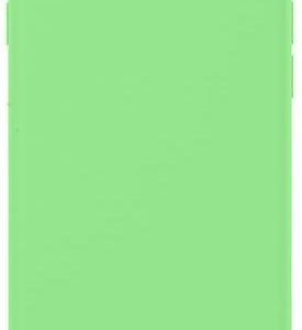 Aizmugurējais vāciņš Evelatus Apple iPhone XR Nano Silicone Case Soft Touch TPU Mint