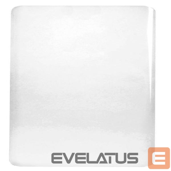 Aizsargstikls Evelatus Samsung Galaxy Note 10 Clear Glass UV + Glue