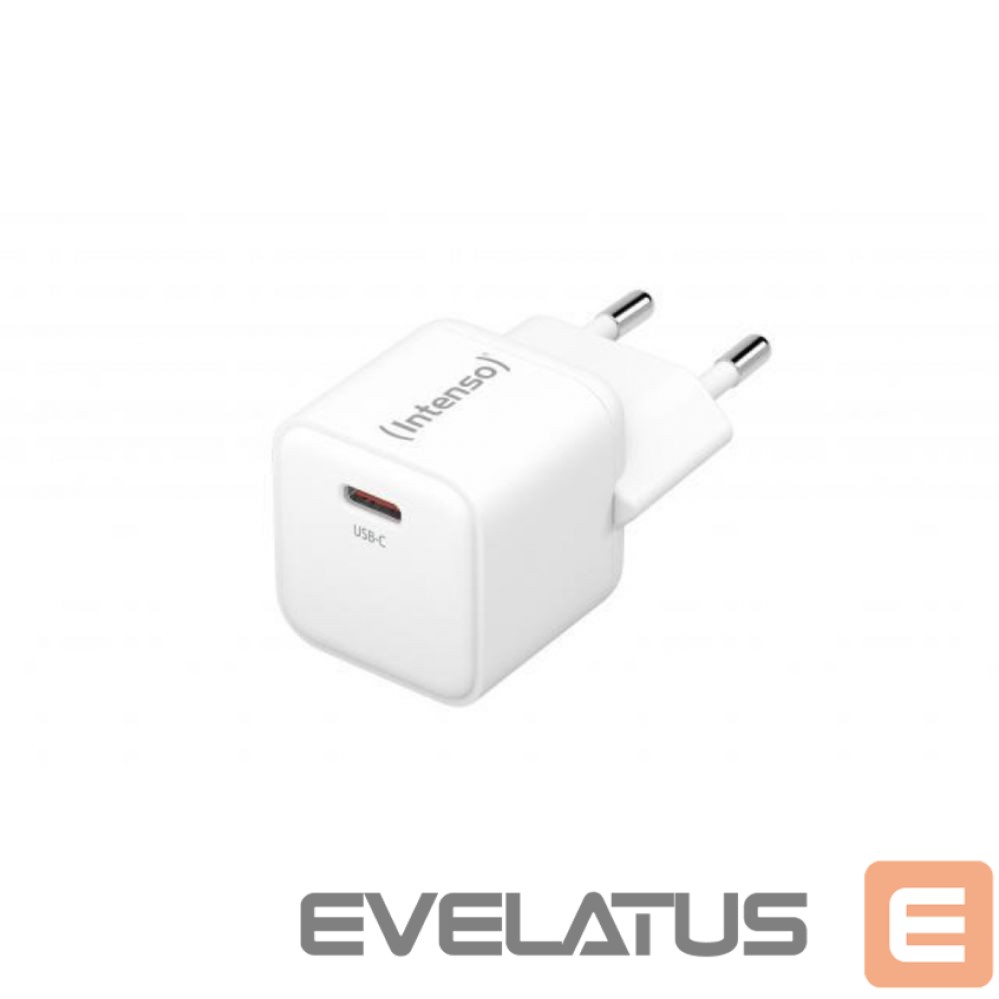 Adapteris Intenso POWER ADAPTER USB-C GAN/7803022