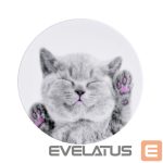 Universāls turētājs (Popsocket) iLike  Universal Pop Holder Cat
