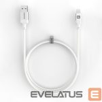 Kabelis Evelatus  Evelatus USB A to Lightning, Cable 1.2M (MFI11CL) Aluminum housing braiding White
