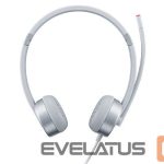 Pamatplate AMD procesorsiem Lenovo  Headset 100 Stereo Analogue Silver 