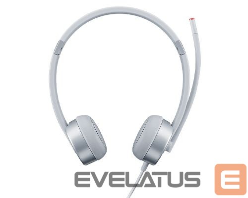 Pamatplate AMD procesorsiem Lenovo Headset 100 Stereo Analogue Silver