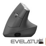 Datora pele Logitech  LOGI MX Vertical AdvancedErgonomic Mouse 