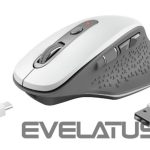 Datora pele Trust  MOUSE USB OPTICAL WRL/OZAA WHITE 24035 