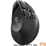 Datora pele Trust  MOUSE USB OPTICAL ERGONOMIC/VOXX 23731 