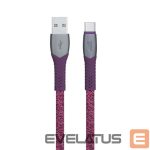 Kabelis RIVACASE  CABLE USB-C TO USB2 1.2M/RED PS6102 RD12 
