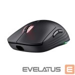 Datora pele Trust  MOUSE USB OPTICAL WRL GXT927/REDEX+ HIGH PERF 25127 