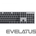Datora tastatūra Asus  W5000 KEYBOARD+MOUSE/GY/UI/90XB0430-BKM1S0/WIN11 