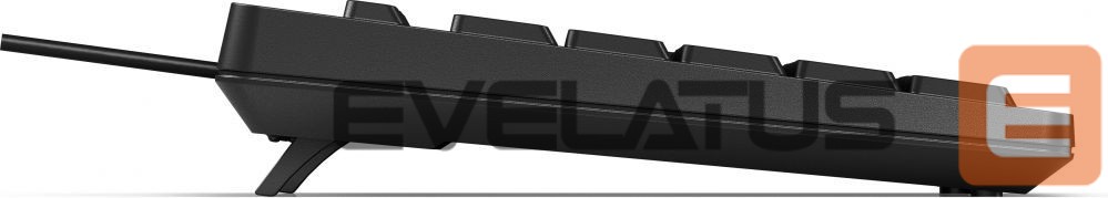 Datortehnikas aksesuāri HP HP 125 USB WD KBD Bulk 12