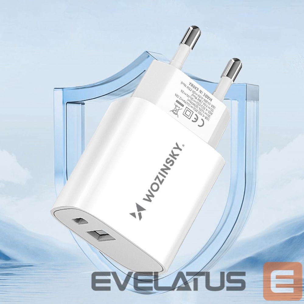 Adapteris Wozinsky White