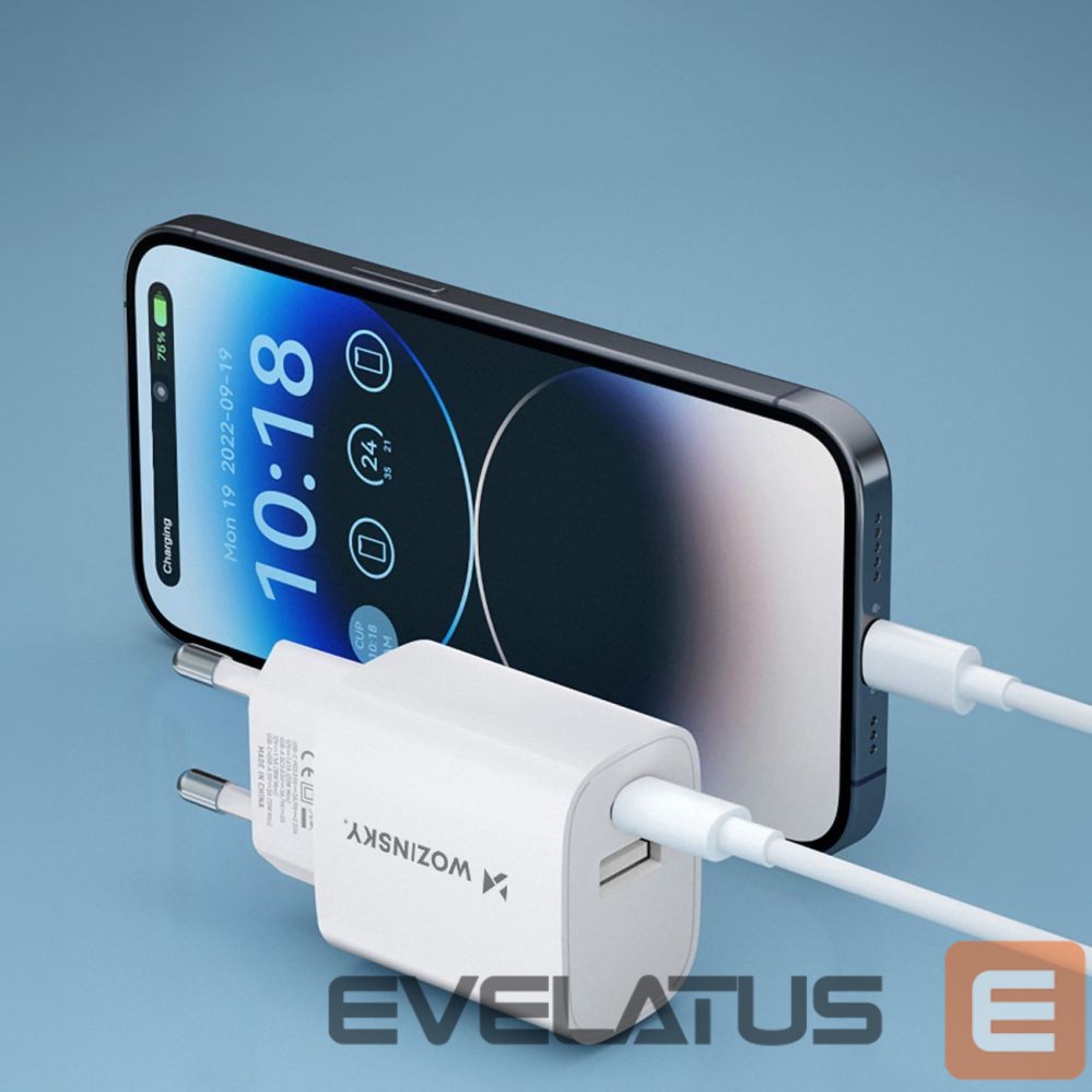 Adapteris Wozinsky White