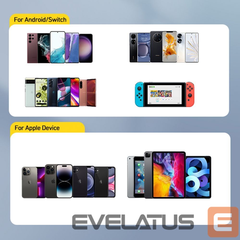 Adapteris Wozinsky White