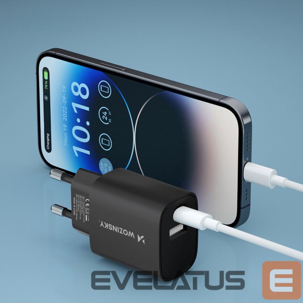 Adapteris Wozinsky Black