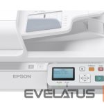 Kabelis EPSON  Network Interface Panel 