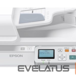 Kabelis EPSON  Network Interface Panel 