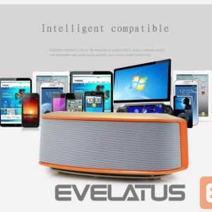 Bezvadu skaļrunis Jiteng Universal Bluetooth Speaker E-312 Grey