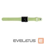 Siksniņa Snaige Apple Silicone Strap For Apple Watch 42mm Green