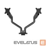 TV aksesuāri NEOMOUNTS  MONITOR ACC DESK MOUNT 17-35"/DS70S-950BL2 