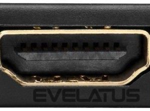 Parveidotājs Goobay  51719 DisplayPort/HDMI  adapter 1.1, gold-plated 