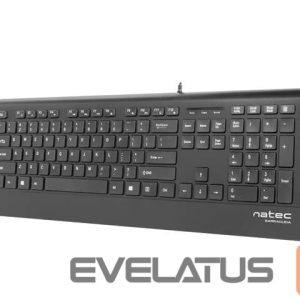Datora tastatūra Natec  Keyboard, Barracuda, US Layout, Slim 