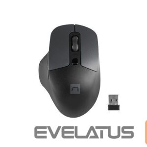 Datora pele Natec  Mouse, BlackBird 2, Silent, Wireless, 1600 DPI, Optical, Black 