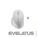 Datora pele Natec  Mouse Siskin 2 	Wireless, White, USB Type-A 