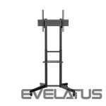 TV kronšteini Digitus  TV Cart with Shelf DA-90447	, 37-70 