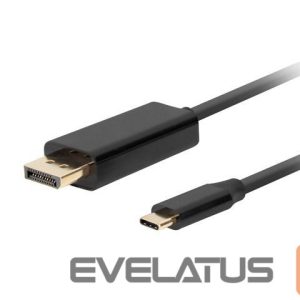 Parveidotājs Lanberg  USB-C to DisplayPort Cable, 1 m 4K/60Hz, Black 