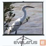 Ekrāns projektoriem Elite Screens  Tripod Series T120UWV1 Diagonal 120 