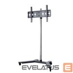 TV kronšteini EDBAK  Flat Screen Trolley for One TR51c-B, 37-60 
