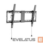 TV kronšteini Gembird  TV wall mount  	WM-80T-01 37-80 ", Maximum weight (capacity) 70 kg, Black 