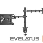 TV kronšteini Digitus  Universal Monitor Mount with Notebook Holder 