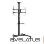 Monitoru piederums Assman electronic  DIGITUS TV-Cart for screens up to 70inch 