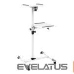 Cita datorprece Techly  Universal projector / notebook trolley with two shelves White