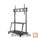 TV aksesuāri NEOMOUNTS  TV SET ACC FLOOR STAND 60-105"/NS-M4000BLACK 