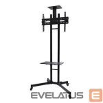 TV aksesuāri NEOMOUNTS  TV SET ACC FLOOR STAND BLACK/32-55" PLASMA-M1700E 