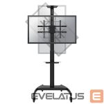 TV aksesuāri NEOMOUNTS  TV SET ACC FLOOR STAND BLACK/37-70" PLASMA-M1900E 