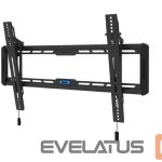 TV aksesuāri NEOMOUNTS  TV SET ACC WALL MOUNT/WL35-550BL16 