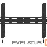 TV aksesuāri NEOMOUNTS  TV SET ACC WALL MOUNT/WL35S-850BL16 