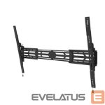 TV aksesuāri NEOMOUNTS  TV SET ACC WALL MOUNT/WL35S-950BL19 