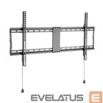 TV aksesuāri Gembird  TV SET ACC WALL MOUNT 43-90"/WM-90F-01 