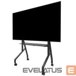 TV aksesuāri NEOMOUNTS  TV SET ACC FLOOR STAND 55-86"/FL50-525BL1 