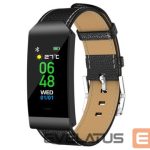 Viedpulksteni Denver  BFH-250 Black