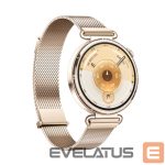 Viedpulksteni Huawei  Watch GT6 41mm Gold Stainless Steel Case with Gold Milanese Strap Gold