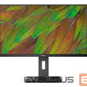 Monitori Mmd-monitors & displays  PHILIPS 32B1N3800/00 Monitor 31.5i UHD 